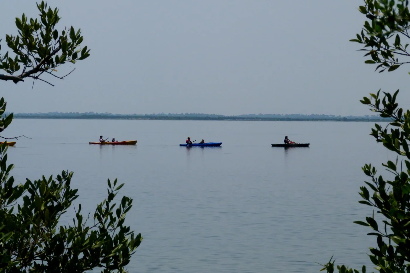 Kayakers paddling the calm, wide lagoon waters at Bair's Cove near Haulover Canal on Merritt Island, framed by mangrove branches, daytime