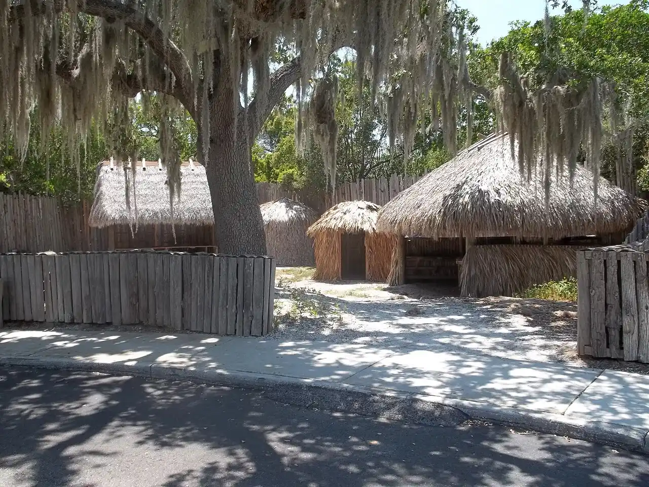 Reconstructed thatched-roof huts of the 16th-century Camp Uzita living-history village at De Soto National Memorial, shaded by a live oak draped in Spanish moss