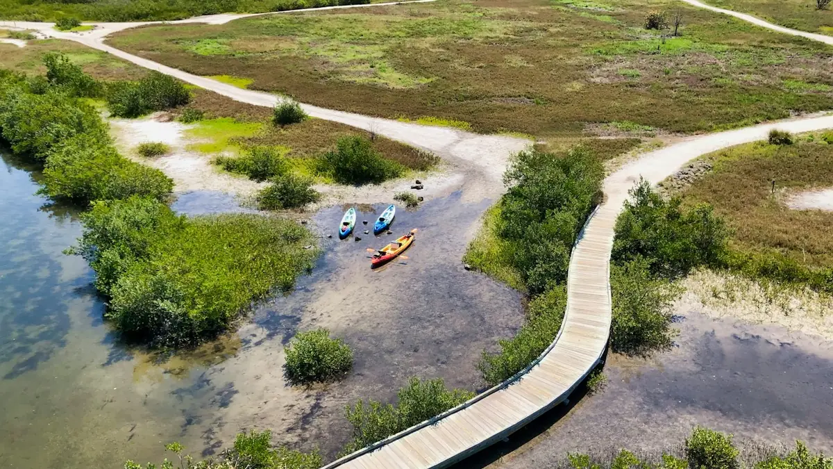 Three colorful kayaks sit in a shallow inlet beside a curving boardwalk at Robinson Preserve, seen from the observation tower
