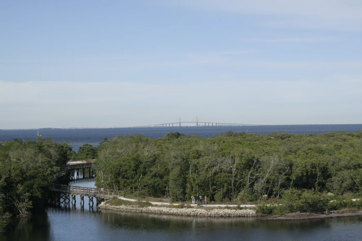 A wooden boardwalk bridge and a paved crushed-shell trail curve along the water's edge at Robinson Preserve, with mangroves and the Sunshine Skyway Bridge in the distance and a few distant walkers on the path