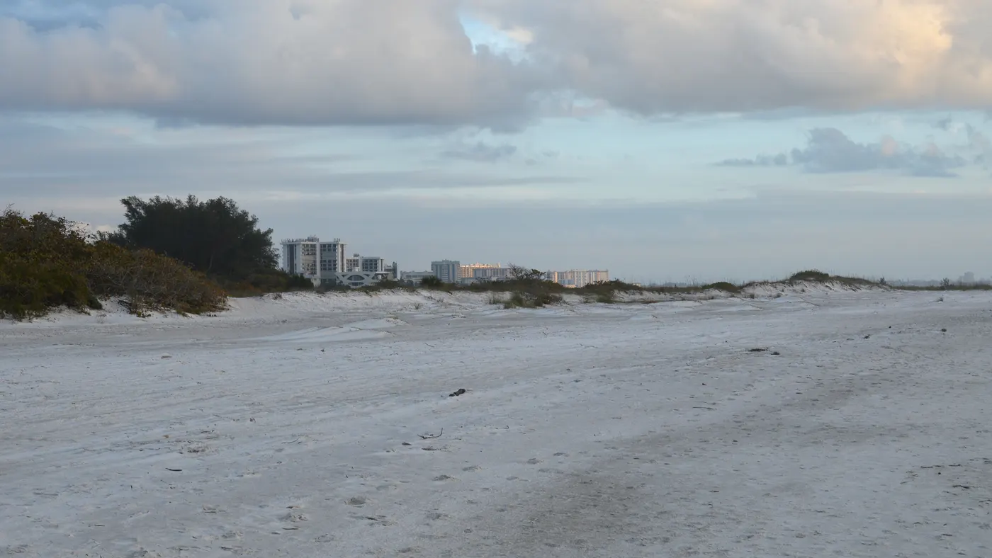 The quiet white sand beach at Lido Key with dune vegetation on the left and the Sarasota skyline visible in the distance