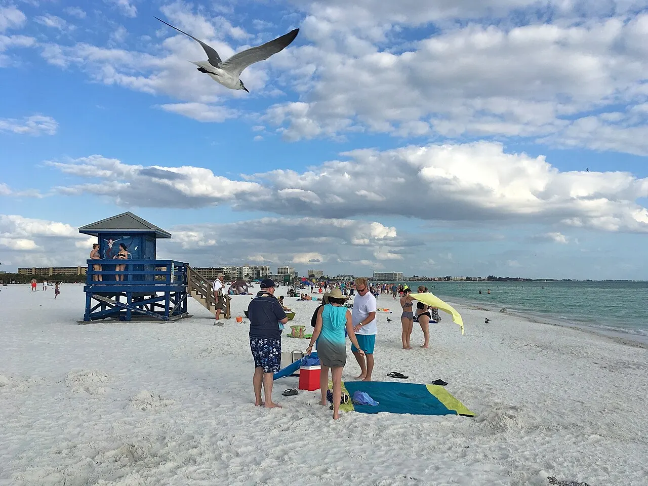 Coquina Beach's blue lifeguard station on Anna Maria Island, with beachgoers and a tern flying overhead against white sand and the Gulf of Mexico