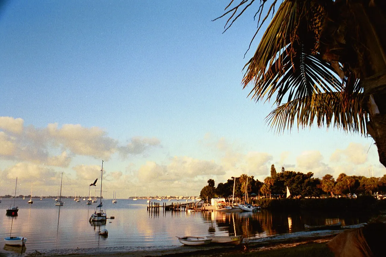 Sailboats and small boats moored in the marina at Bayfront Park in Sarasota at golden hour, with a palm frond framing the top of the shot