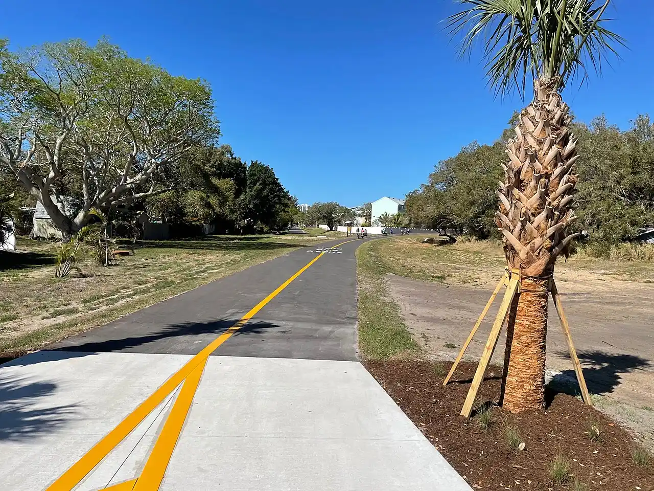 The paved Legacy Trail rail-trail in Sarasota, lined with trees and a young palm tree, with a couple of cyclists in the distance