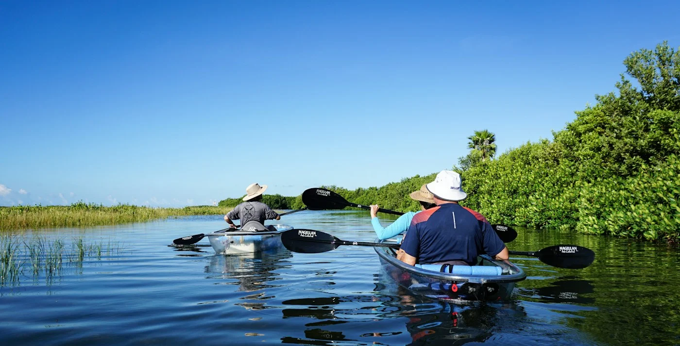 Kayakers paddle clear boats along calm blue water beside the mangroves at Shell Key, Florida