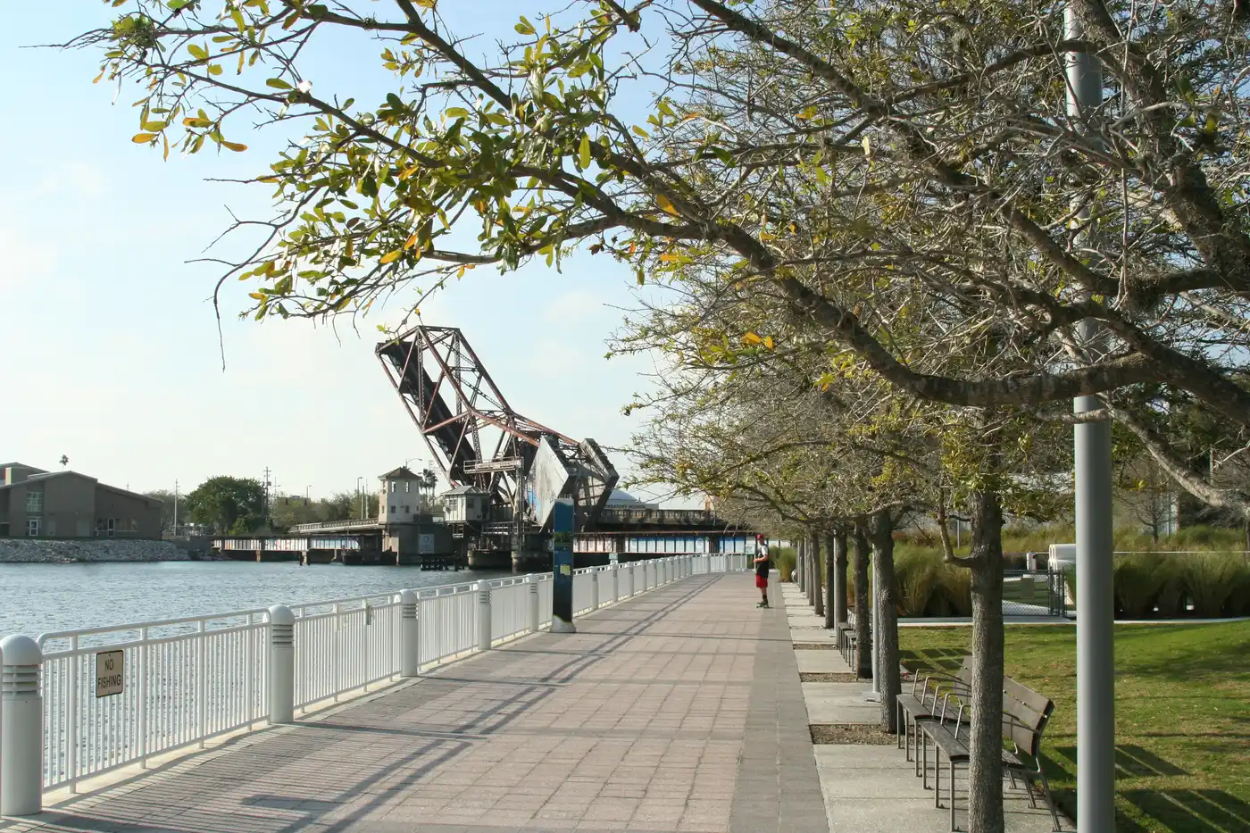 A paved waterfront promenade along the Hillsborough River with a historic bascule bridge, benches and trees