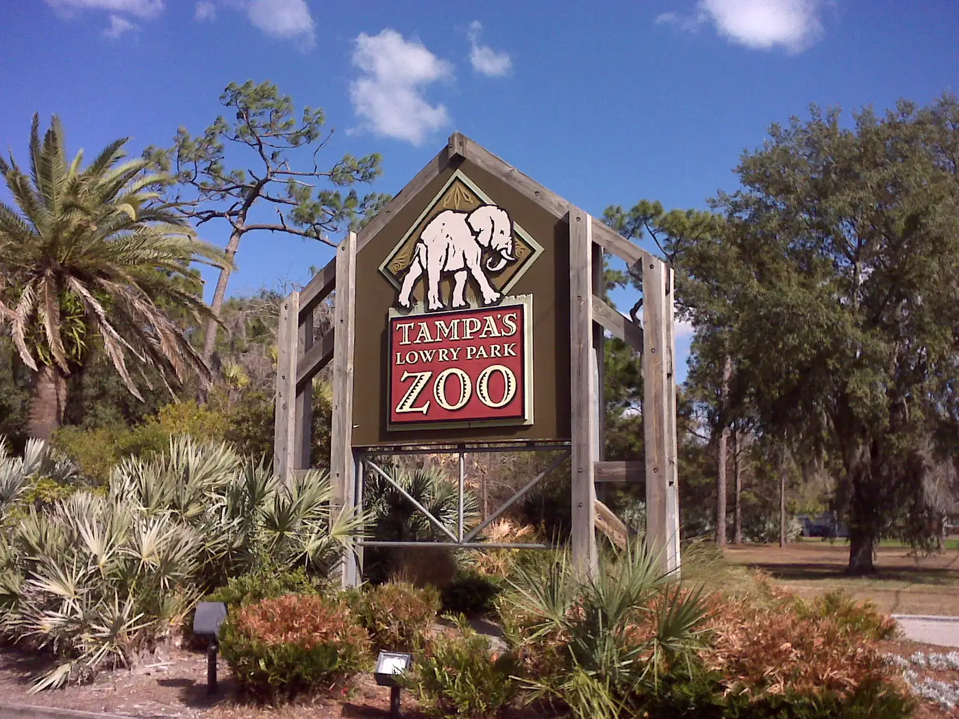 Wooden entrance sign reading Tampa's Lowry Park Zoo with an elephant logo, palms and native plantings around it