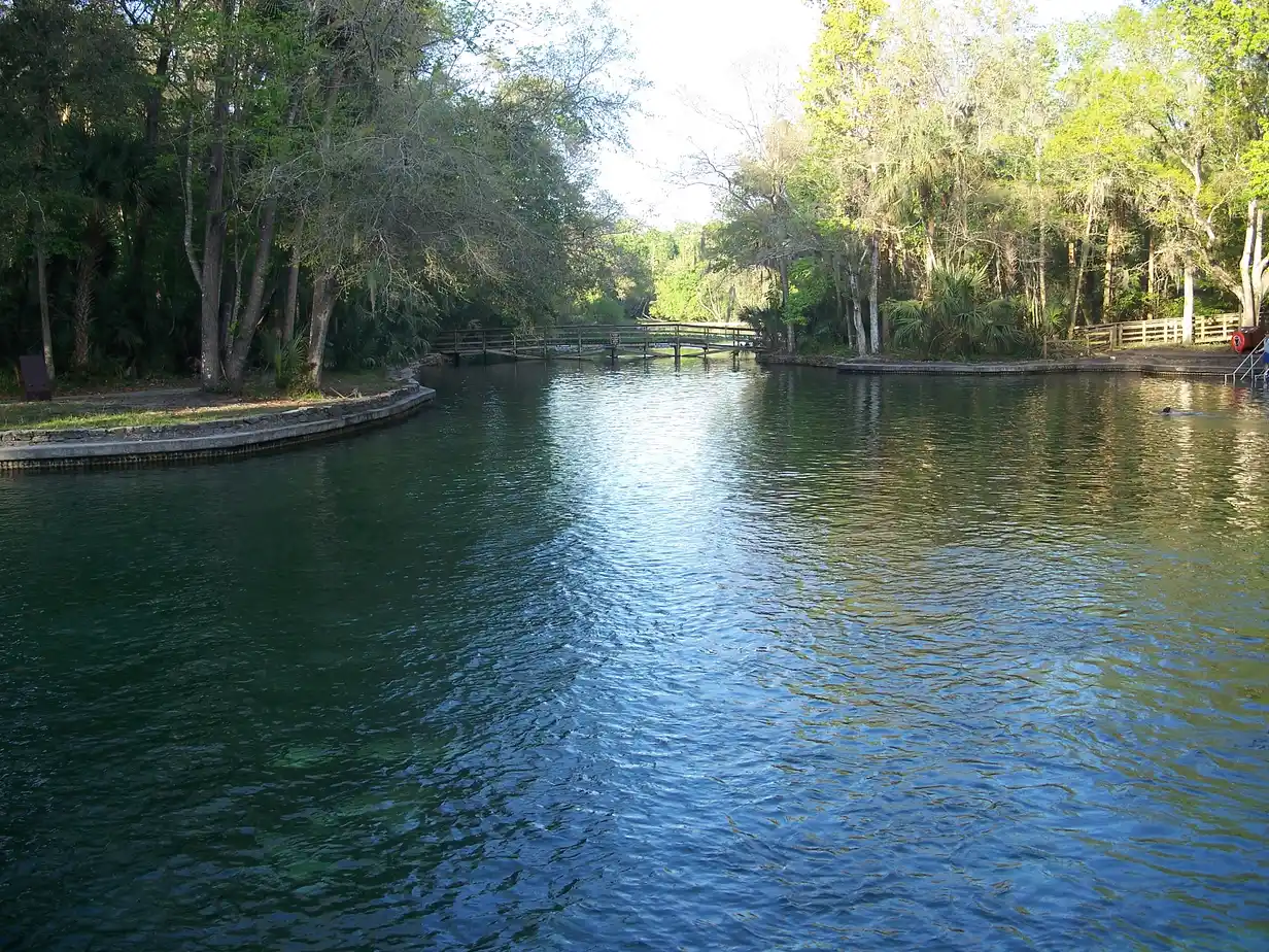 The masonry-edged spring swim area and footbridge at Wekiwa Springs State Park