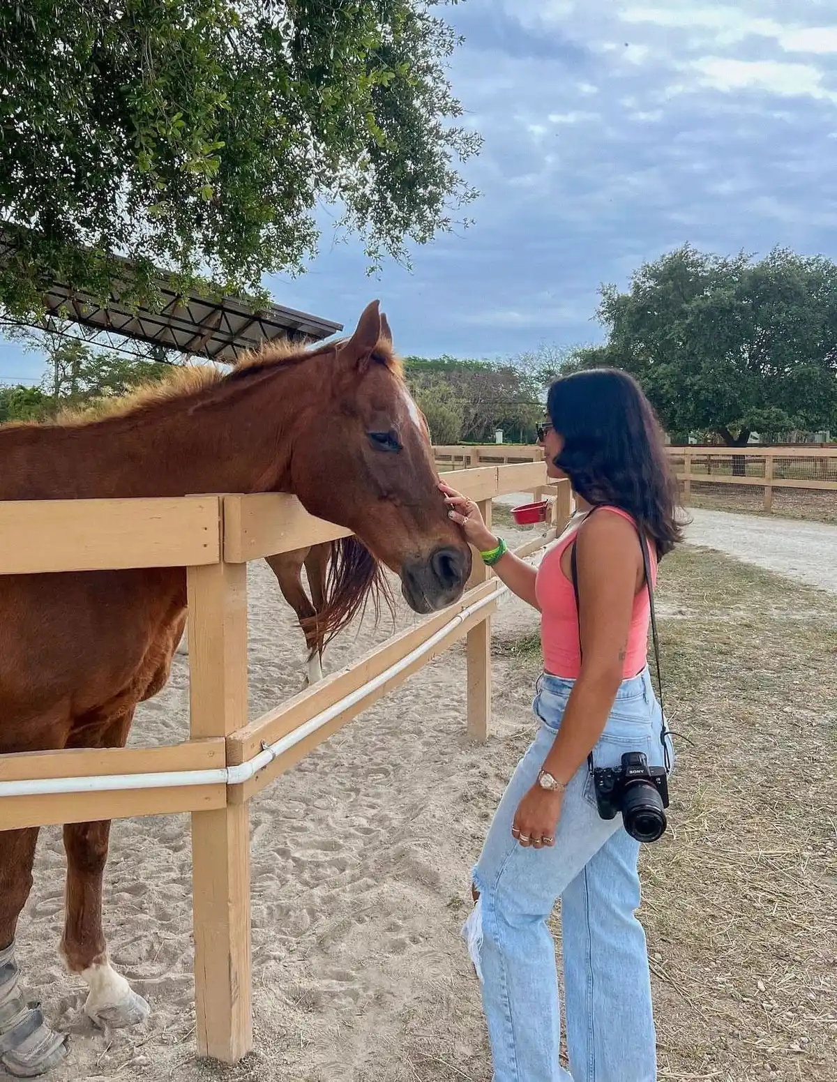 A woman petting a horse at a fence
