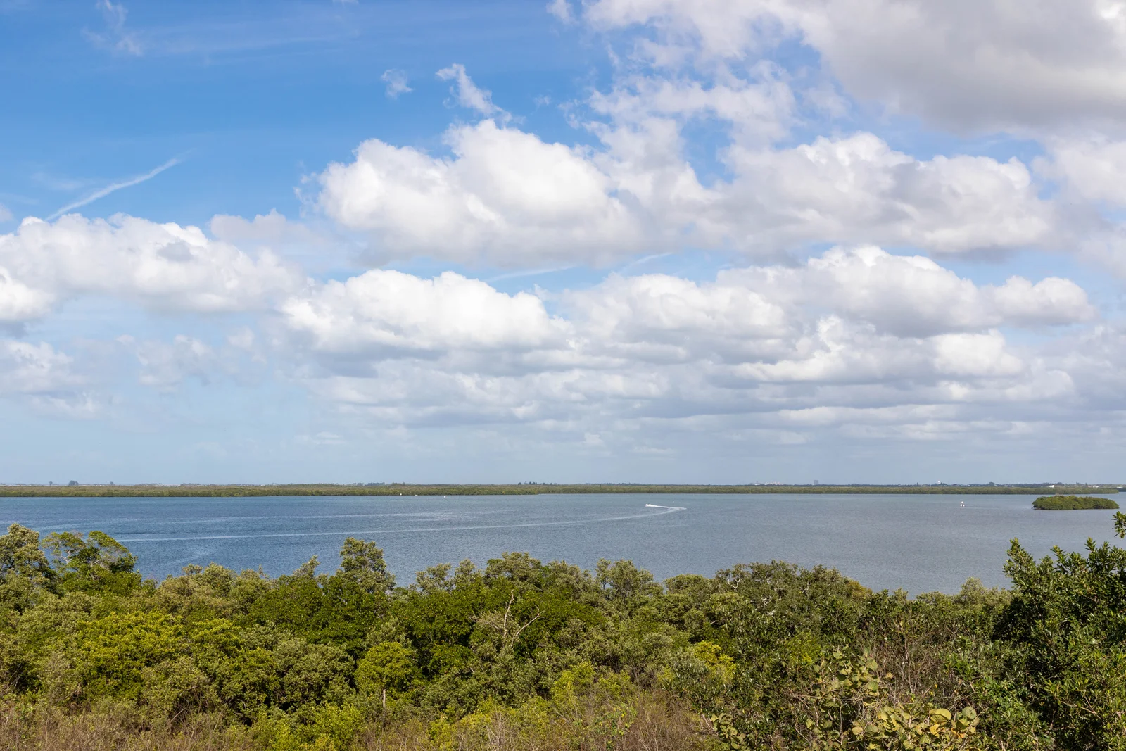 Water and mangroves beneath a blue sky at Emerson Point Preserve in Palmetto