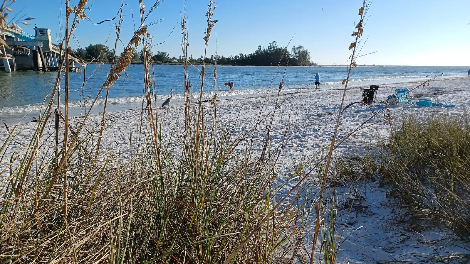Sea oats, white sand, and Gulf water at Coquina Beach on Anna Maria Island