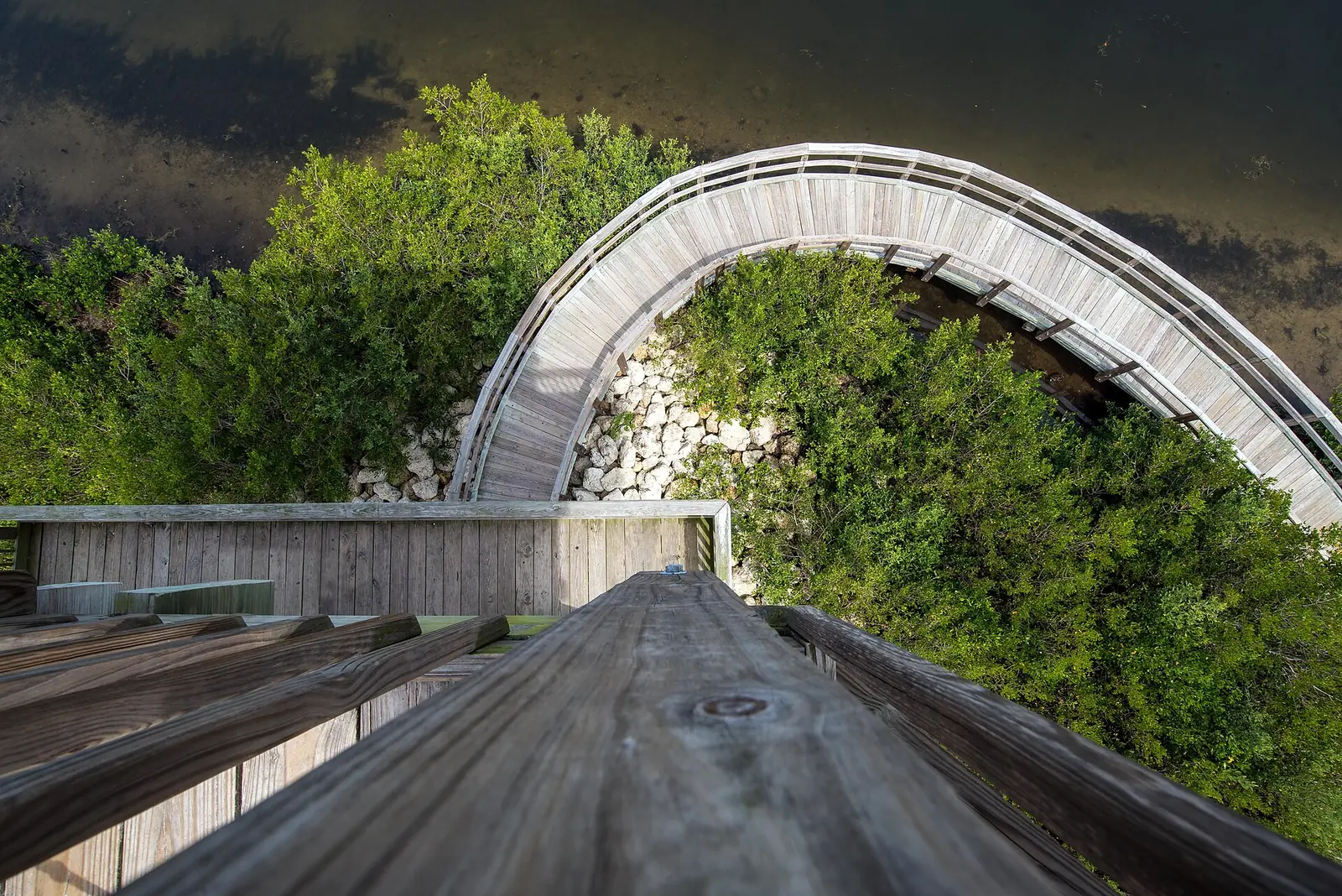 Curving boardwalk and mangrove wetlands seen from an observation tower at Robinson Preserve